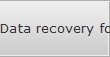 Data recovery for West Palm Beach data